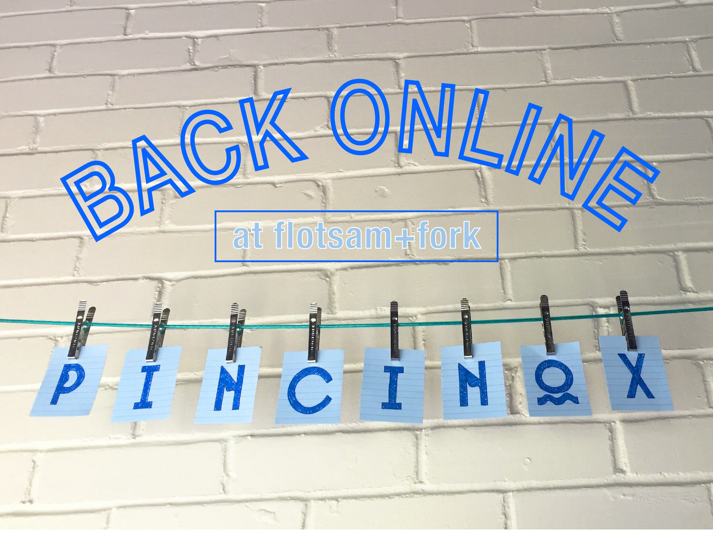 BACK ONLINE: Pincinox stainless steel clothes pins
